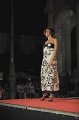 Miss Sicilia 2014 Noto Elegante (233)